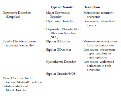 Mood Disorders Essay