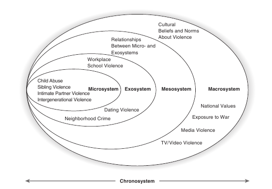 ecological models of violence essay